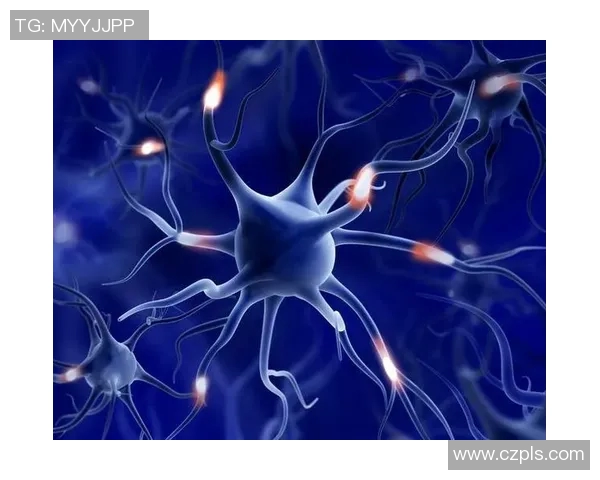 亚当斯的传奇人生与科学探索之旅揭示人类智慧的无限可能